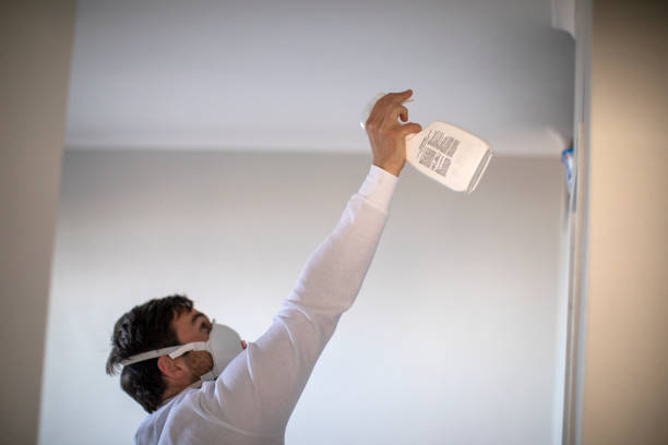 Best Basement Mold Remediation in Meyers, CA