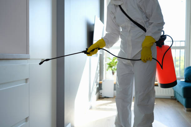 Best Kitchen Mold Remediation in Meyers, CA
